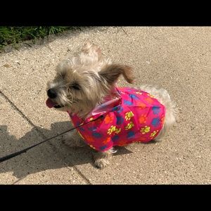 Meet your Posher, Maria